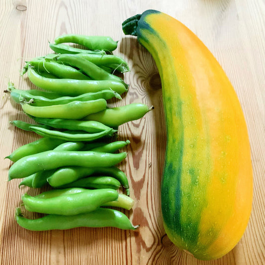 Homegrown Vegetables … :)