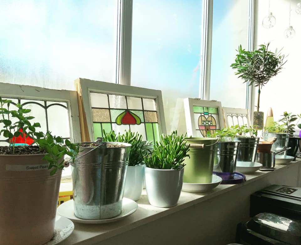 My Kitchen Garden ...