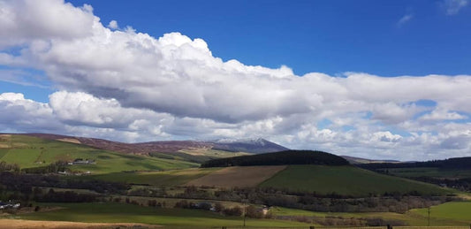 A Walk Around Glenlivet ... :)