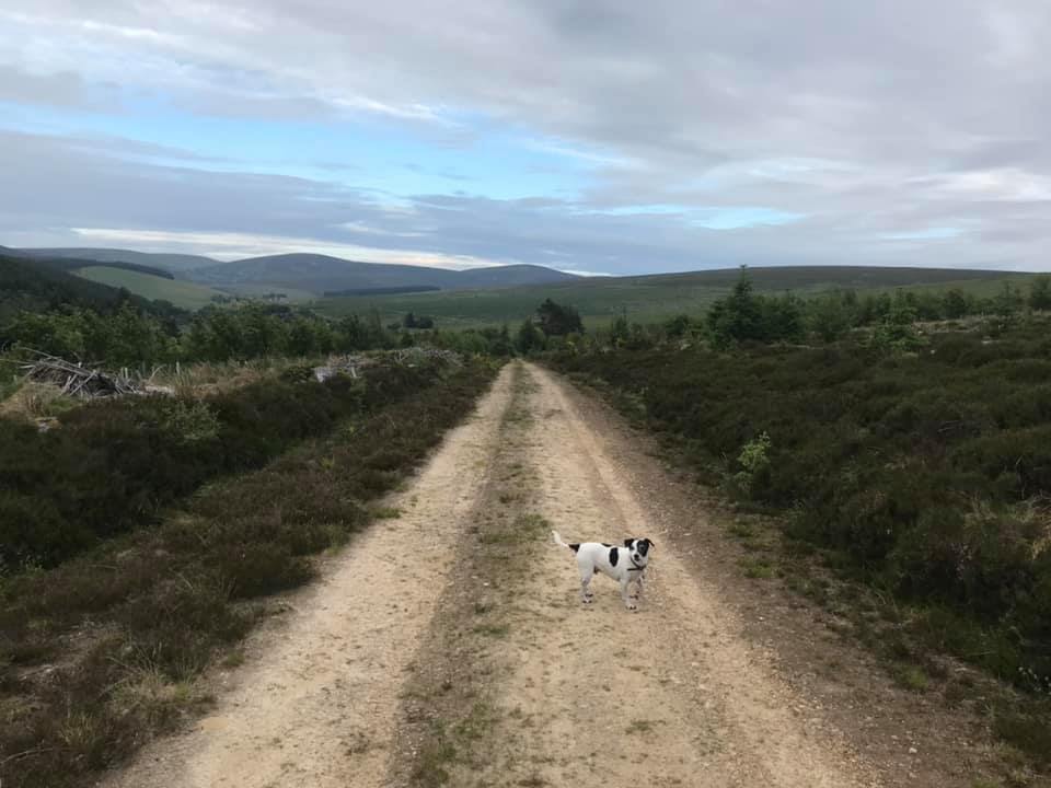 An Evening Stroll Above Tomintoul - Scotland :)