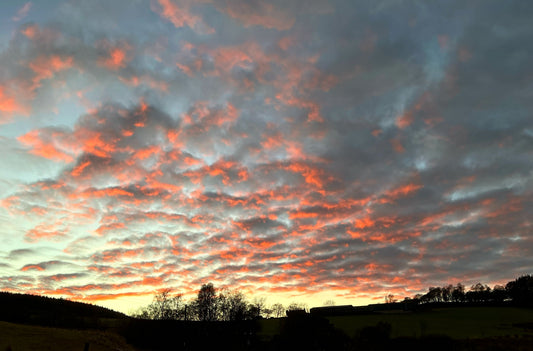 December Skies …
