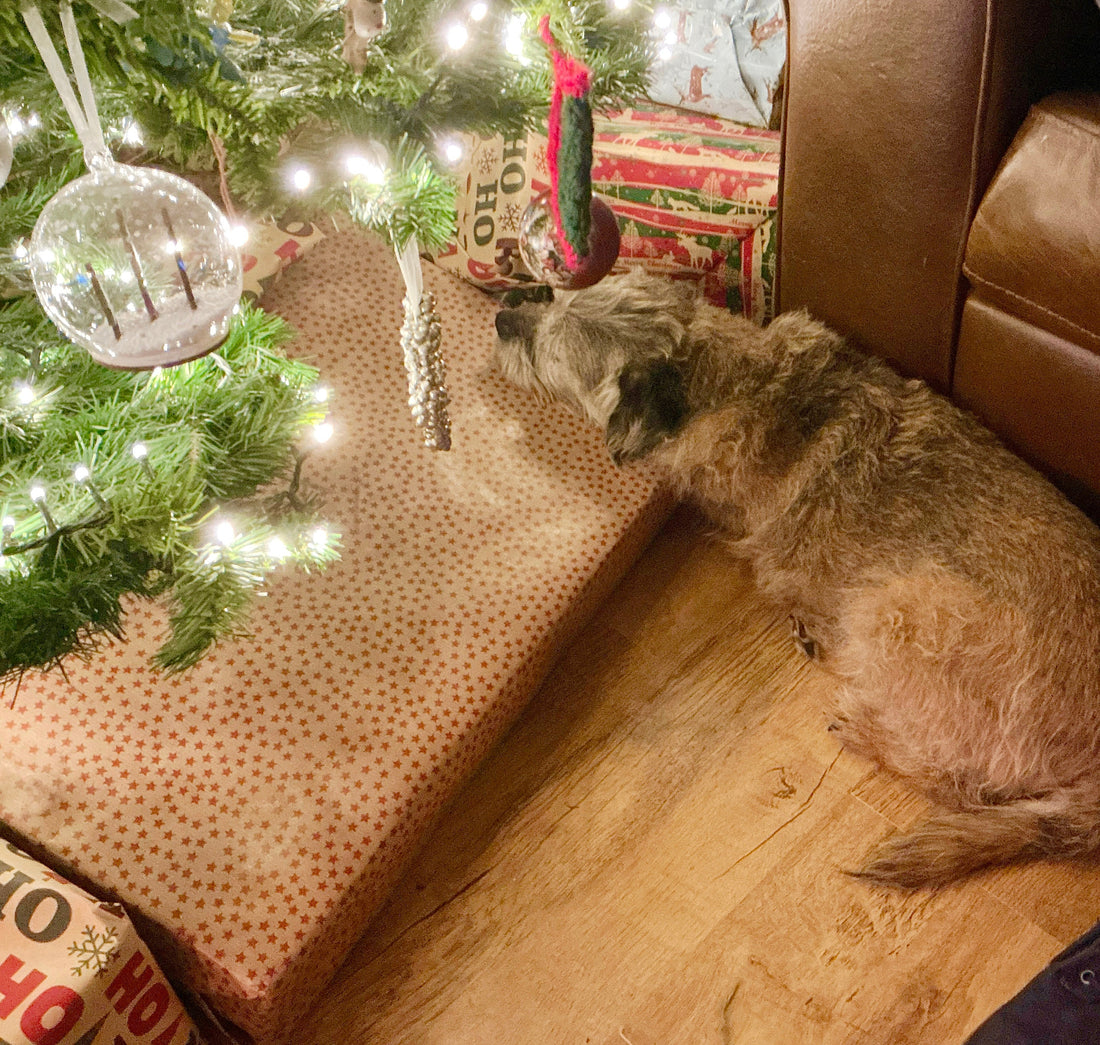 Countdown To Christmas …