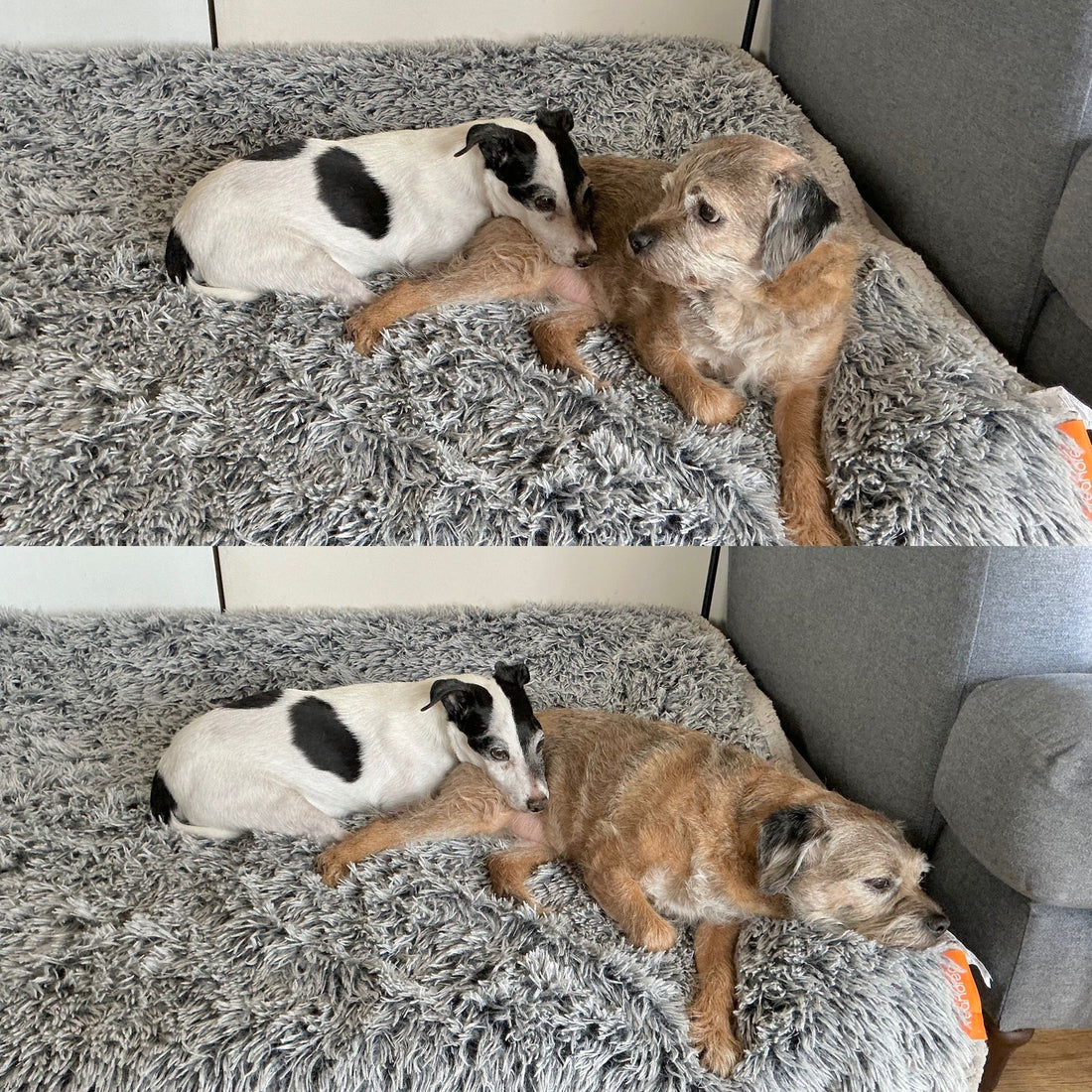 Nap Time …