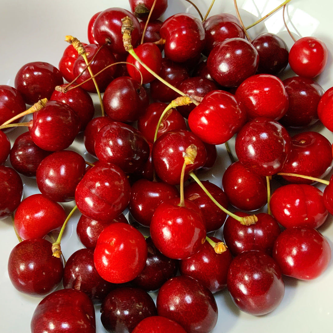 Homegrown Cherries …