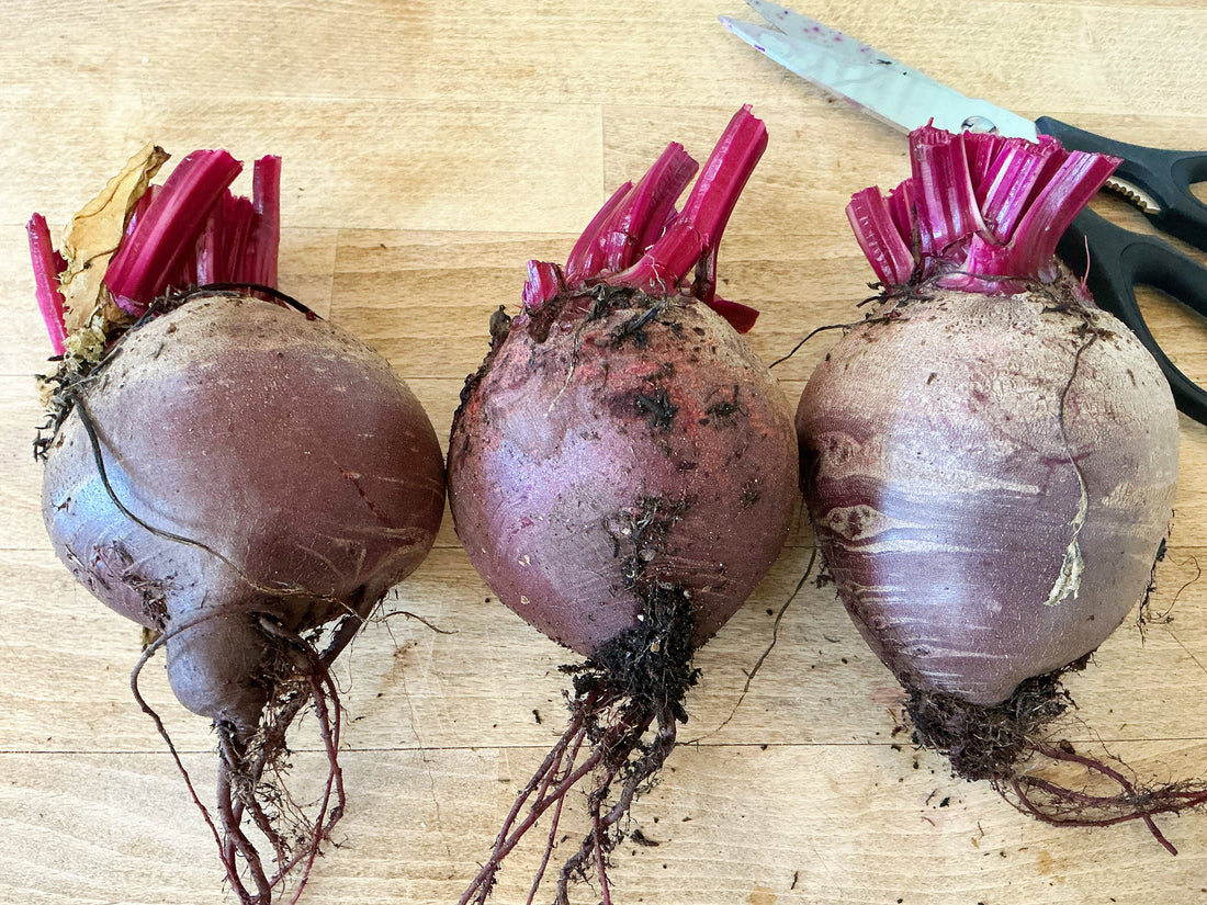 Missing Our Homegrown Vegetables …