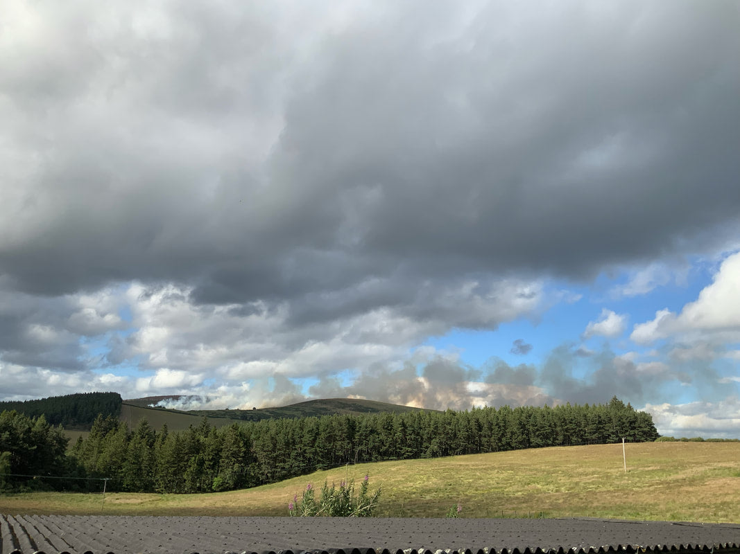 Wildfires …