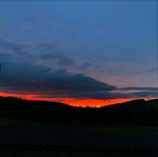 Summer Sunsets ...
