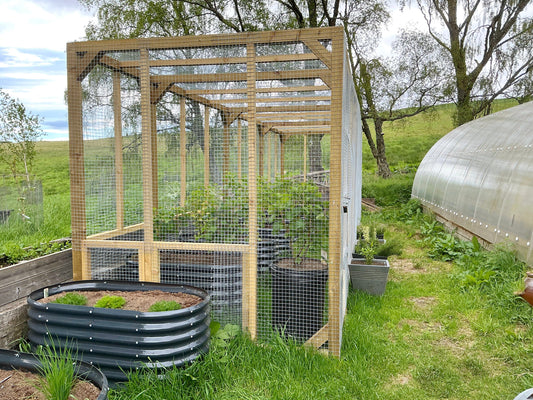 Our Fruit Cage Is Finished … 🐦‍⬛🍓
