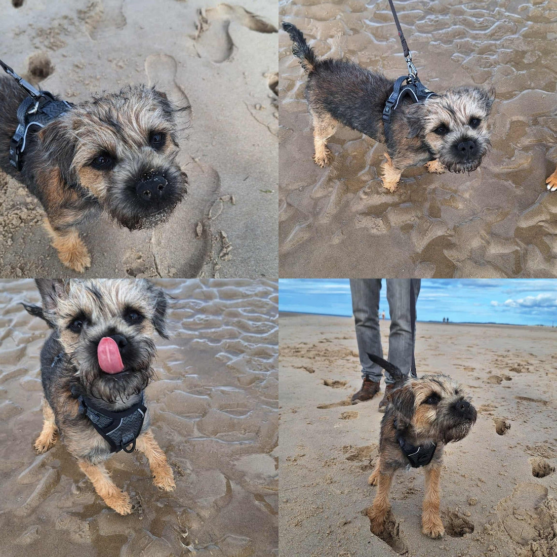 First Trip To The Beach …