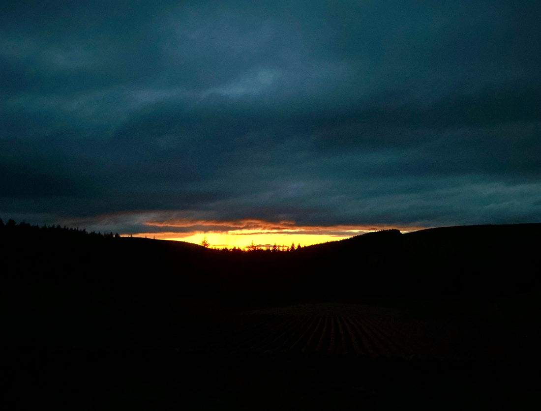 Peace At Last …