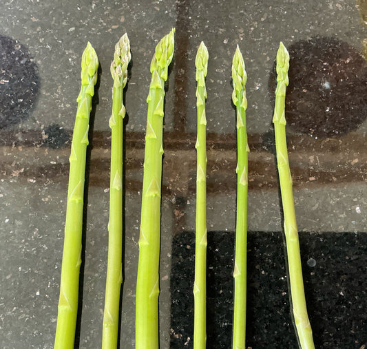 Homegrown Asparagus … 😋