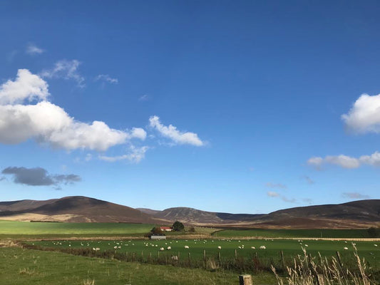 Blue October Skies …