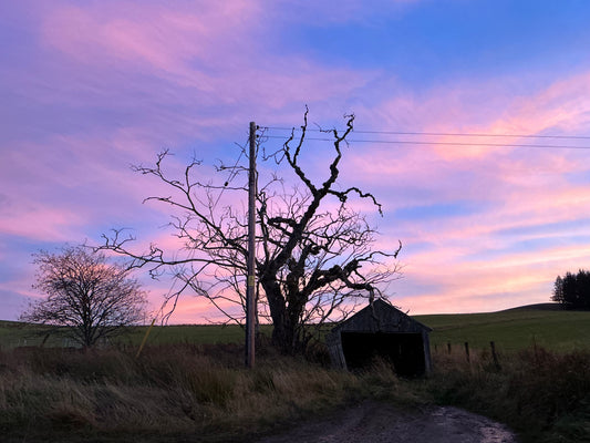 October Sunset …