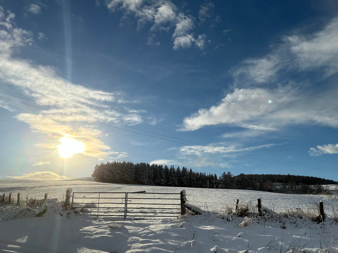 Winter In The Highlands …