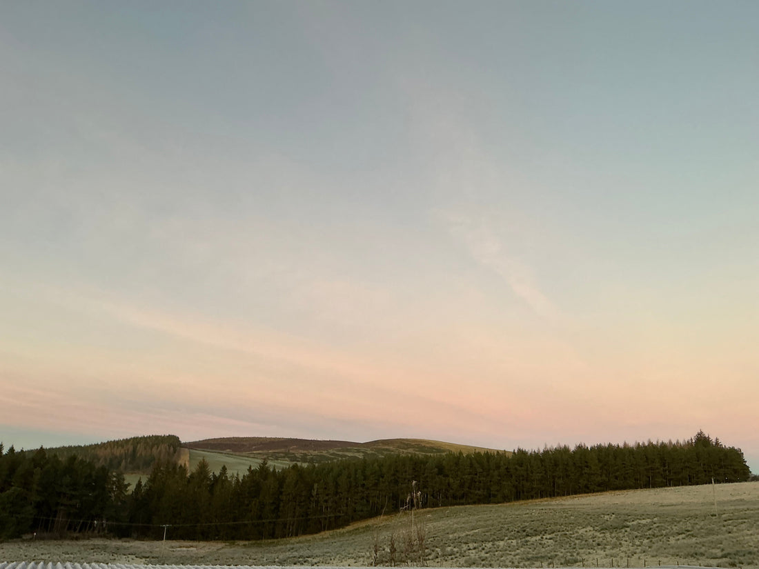 Will It Be A White Christmas …