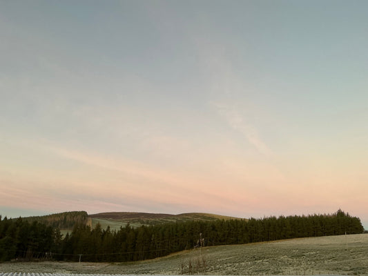 Will It Be A White Christmas …