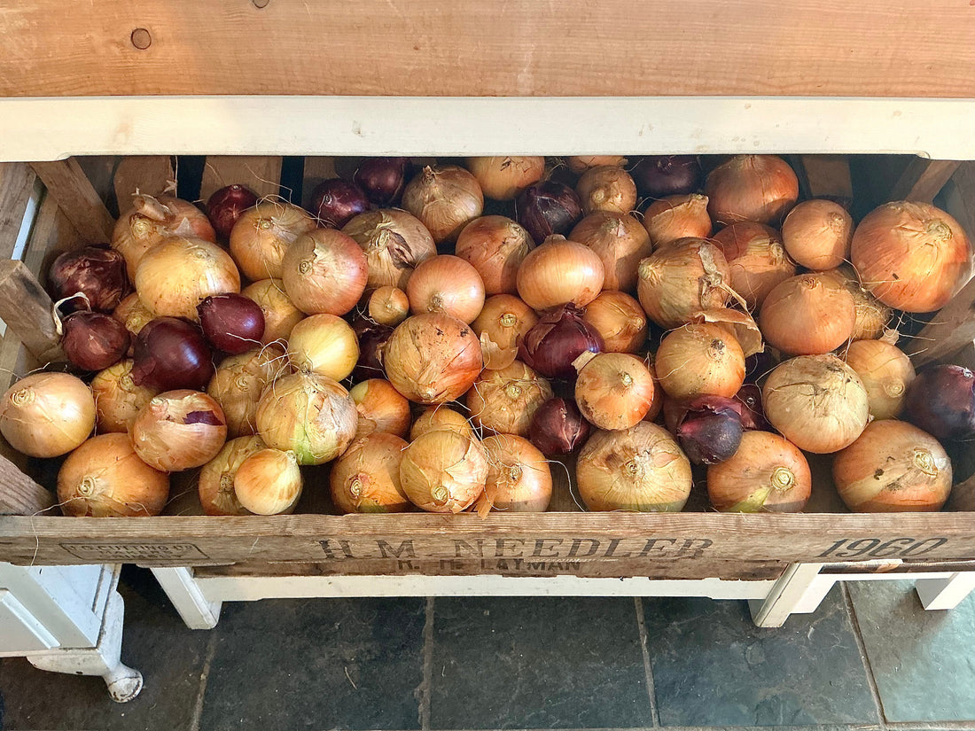Vintage Apple Trays …