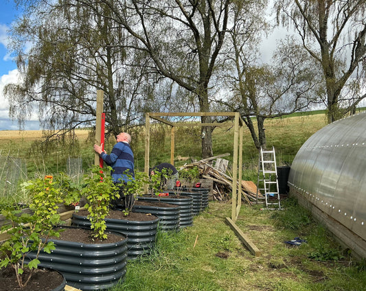 Making A Fruit Cage For The Garden … 🪏