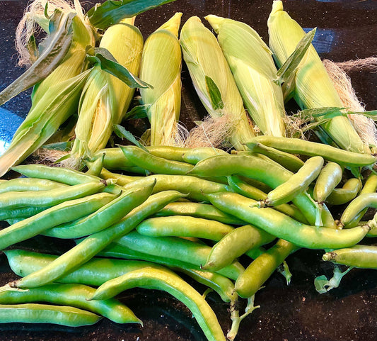 An Harvesting Our Corn 🌽