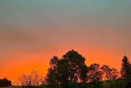 A Beautiful Autumnal Sunrise … 🌅