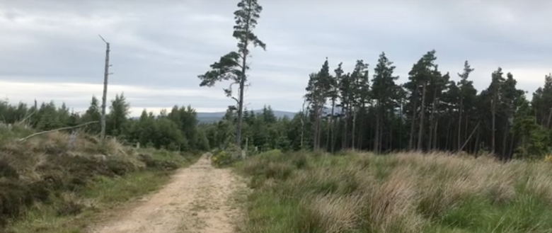 A Wee Clip From Our Walk Above Tomintoul ... :)