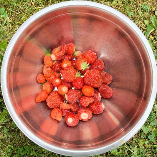 Strawberries :)