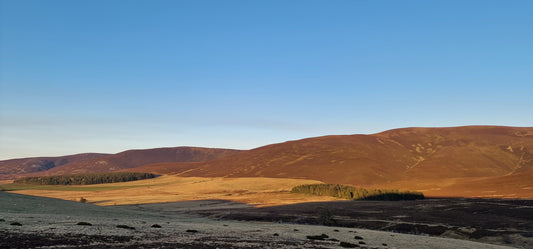 A Walk In The Hills … Spring 2023 :)