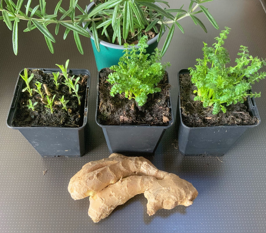 Getting Ready For Spring …